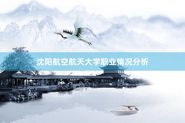 沈阳航空航天大学职业情况分析